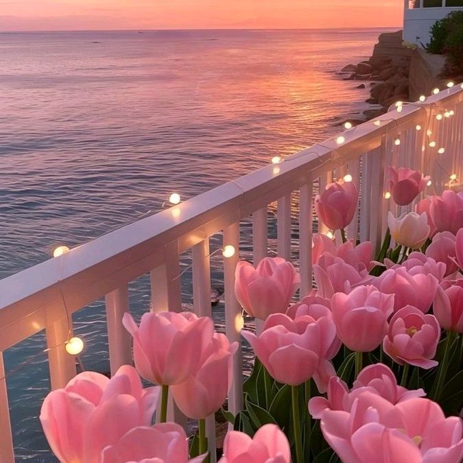Rio🌷🎀🌸
