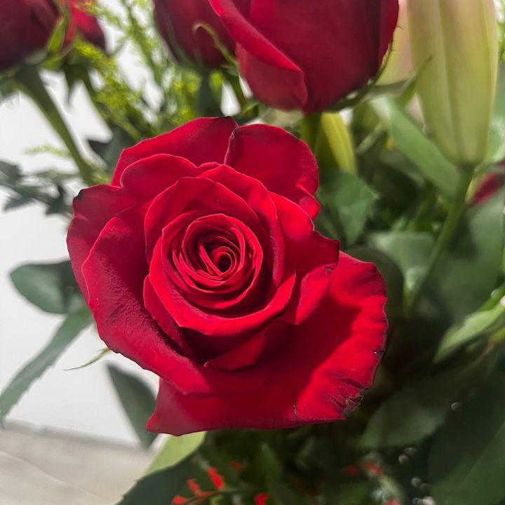 😘 bella Q🍓