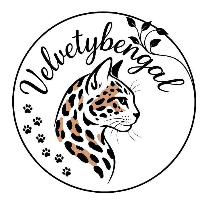 velvetybengal