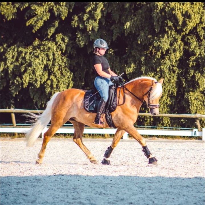 Sam und Jessy || EQUESTRIAN
