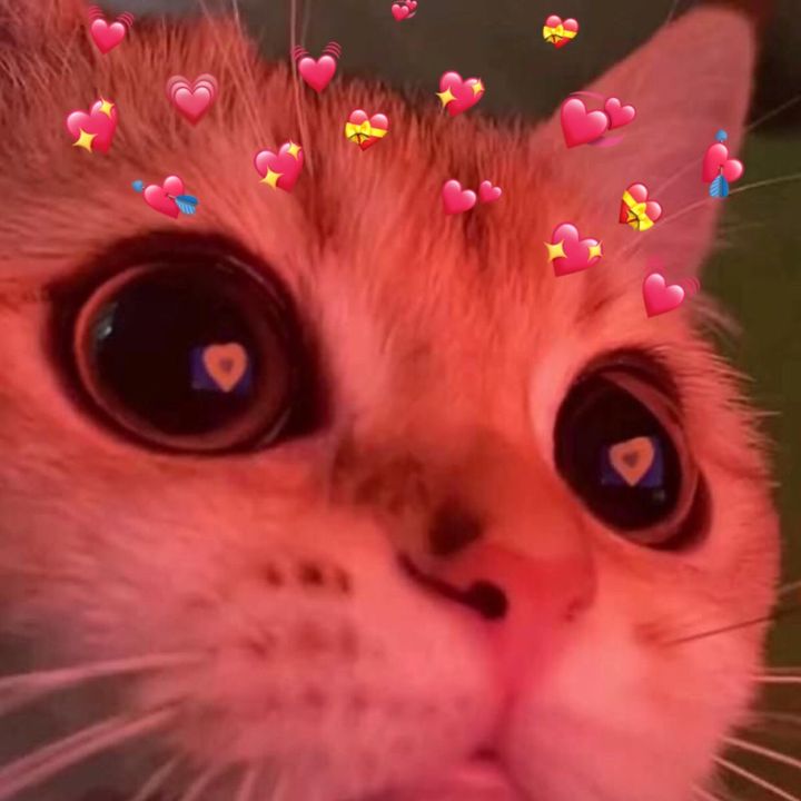 gab