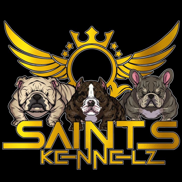 Saintt_Skates_ETC
