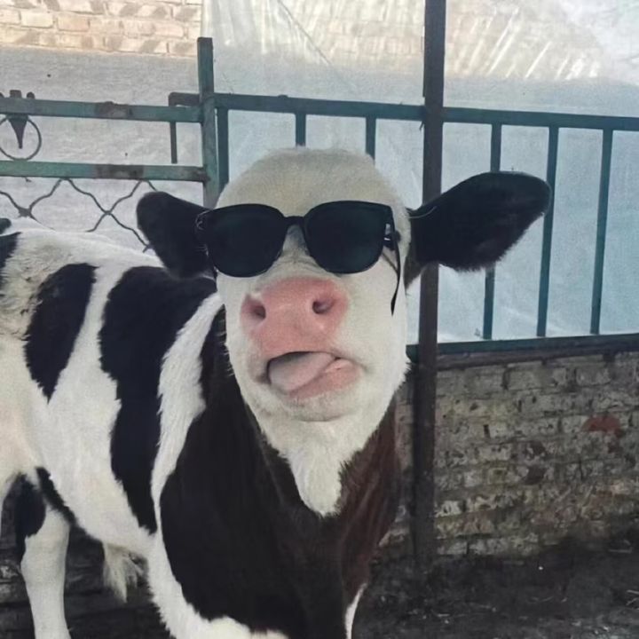 xadhjadgahdg