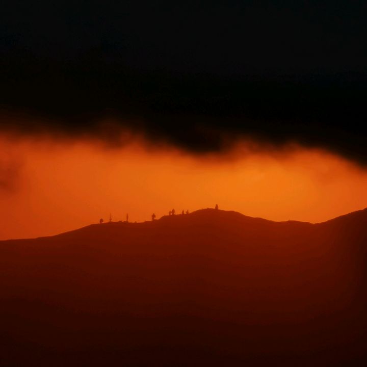 Iriebrave