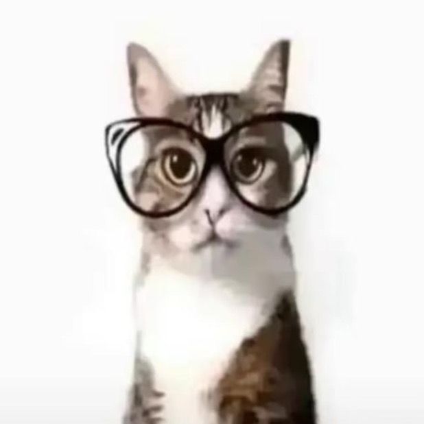 ☆ yukari ໒꒱  ․⁺