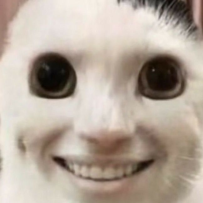 cariearamaefonders