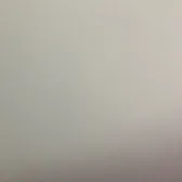 fxsybft