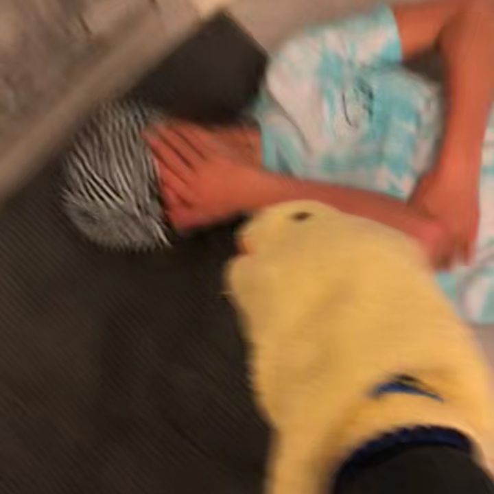 wwvriicyfe