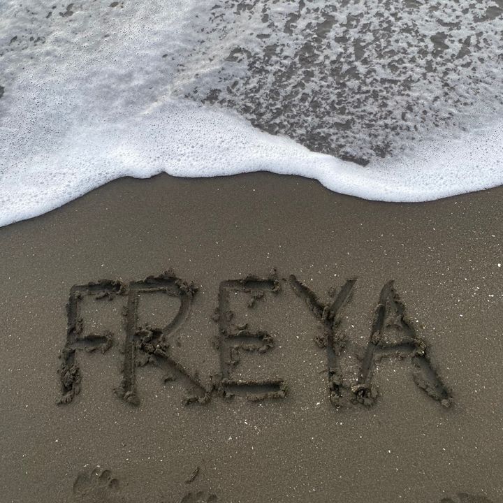 Freya🎀༘
