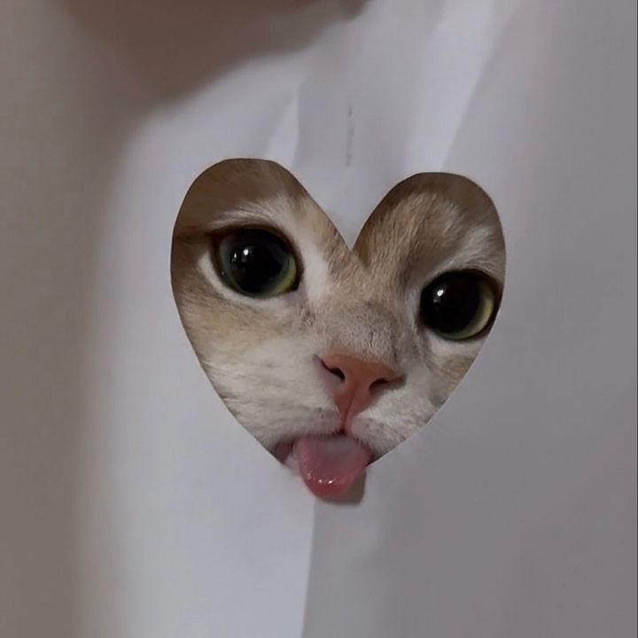 🦦