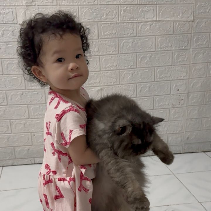 Krucilss