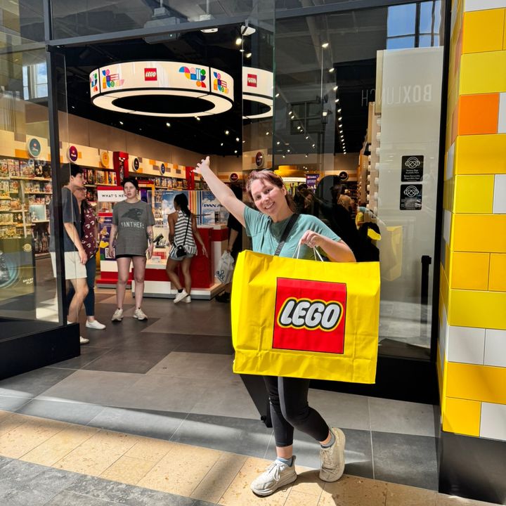 Pegasus Bricks