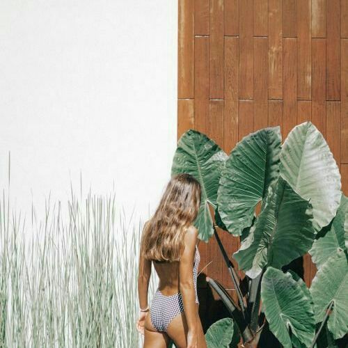 Dafne Greenham