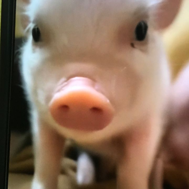 bygwjjj8