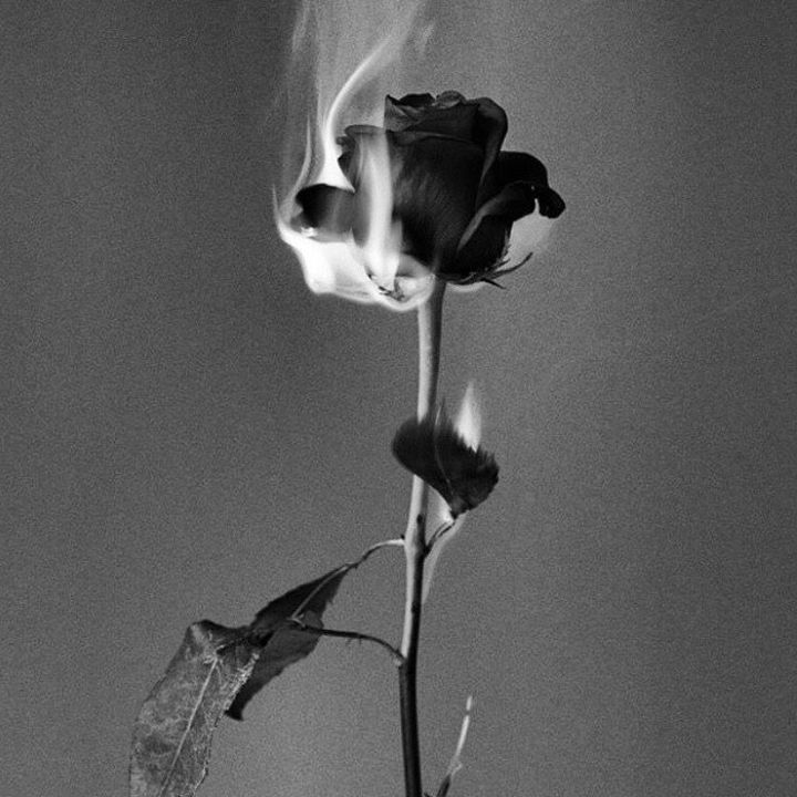 🥀
