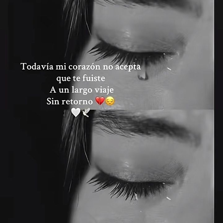Navarro Luz🌻♥️🌻