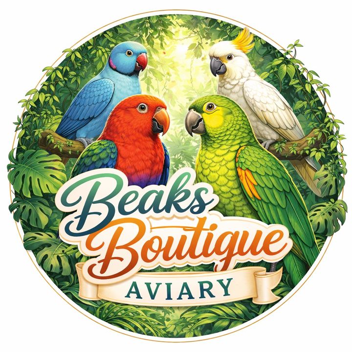 BeaksBoutique Aviary
