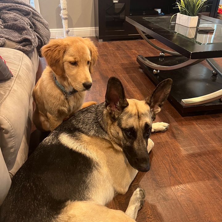 Bodhi_&_Harper