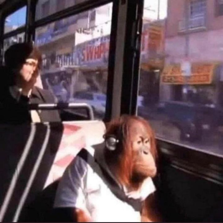 monkye