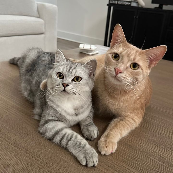 Sultan & Smokey