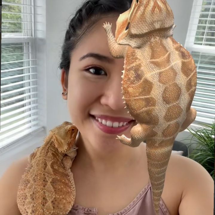 cyreneq