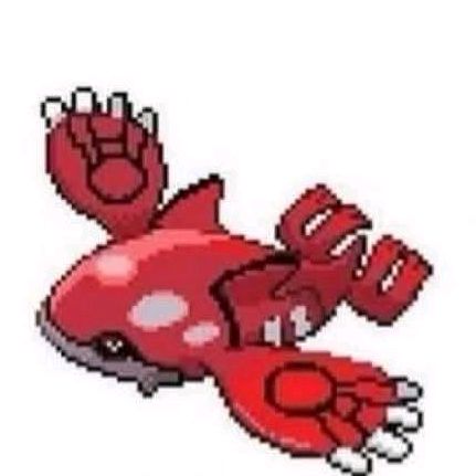 🤍