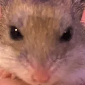 arlo🫡