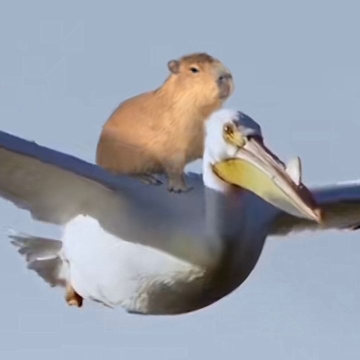 tehpengupsized