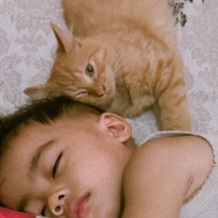 BILAL & OKTO