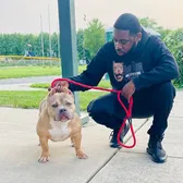 WoofGangBullies