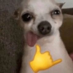 mishmashnr1