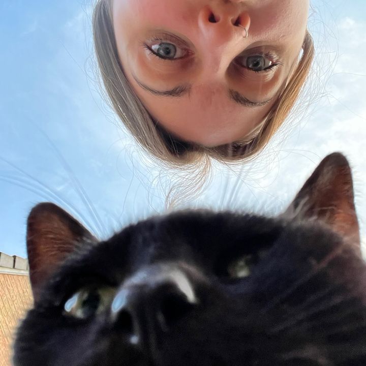 luciole_81