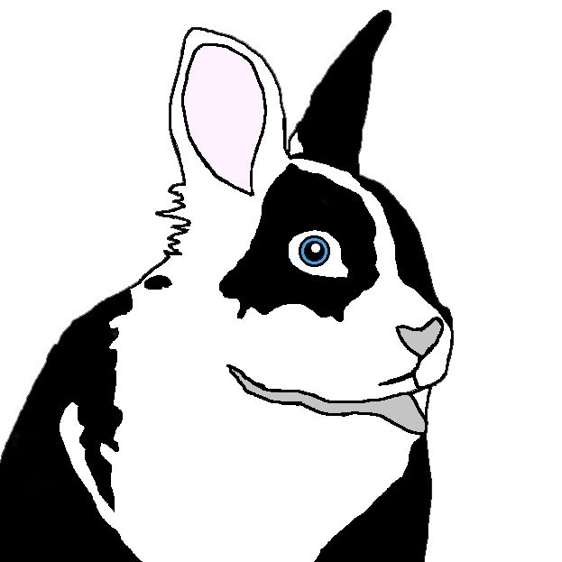 BMZ Bunnies
