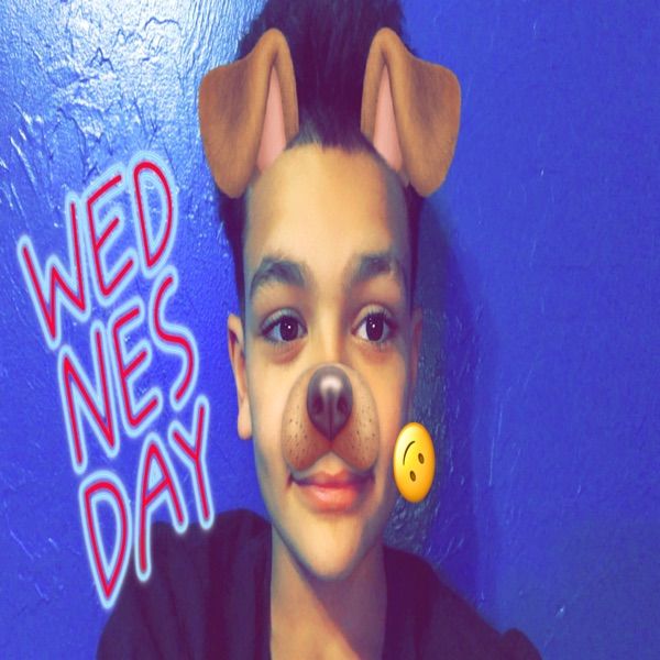 zdhlhxta