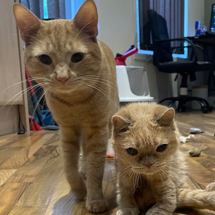 chelsieandnacho
