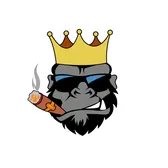 DJMATUTE