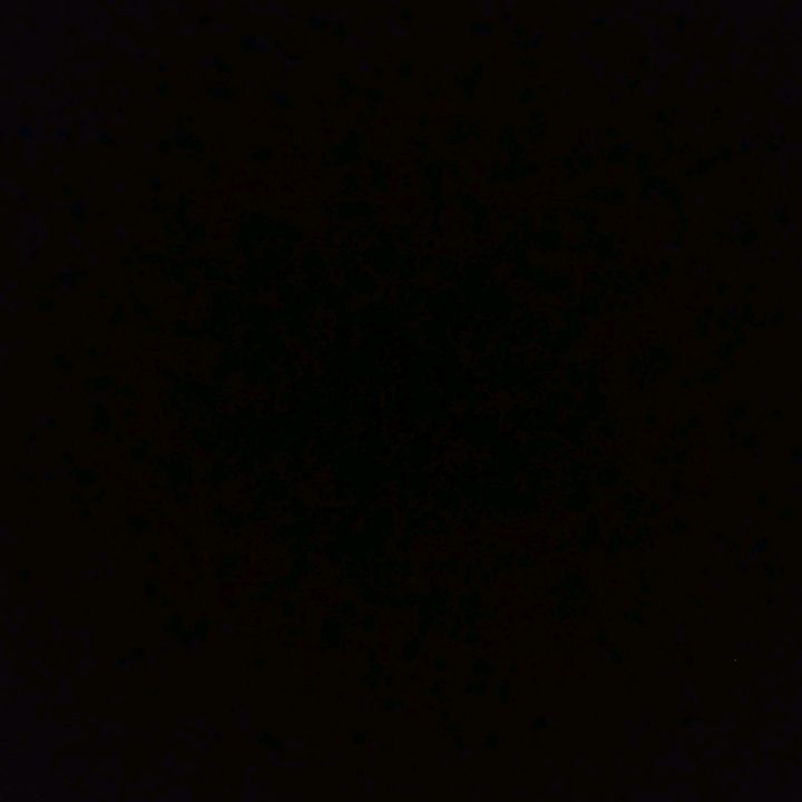 𝐃𝐇𝐎𝐍𝐀♥︎