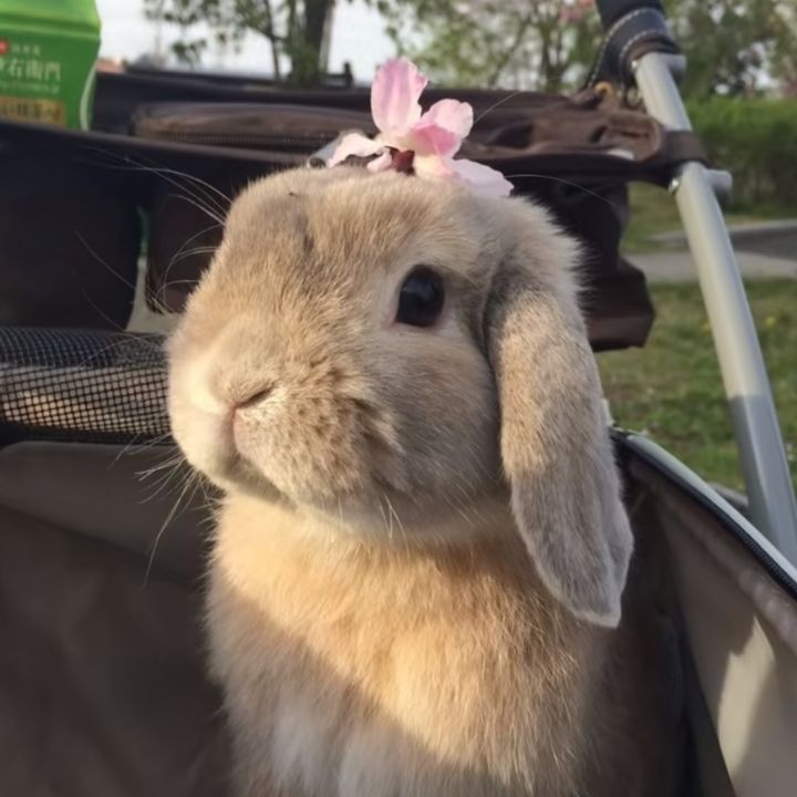 😇