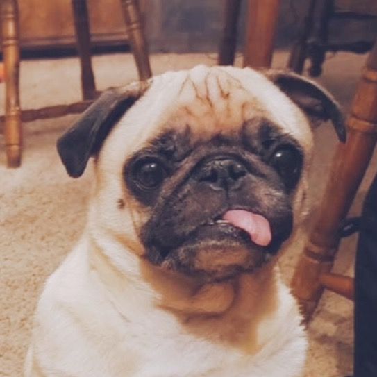 lo