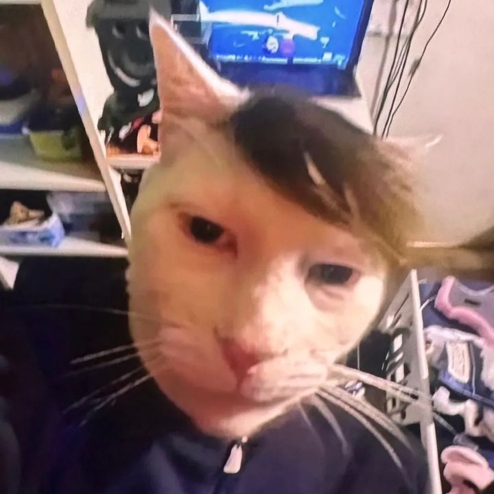 JoshTheDrew