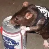abby🐀
