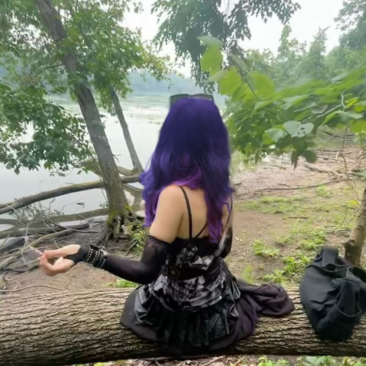꧁𝓭𝓲𝓷𝓰𝓾𝓼꧂