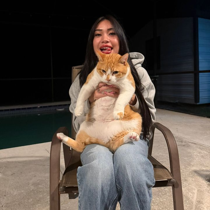 Ily