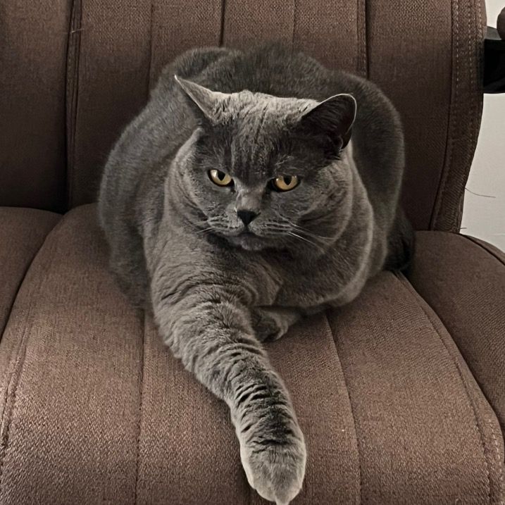 Mia😻